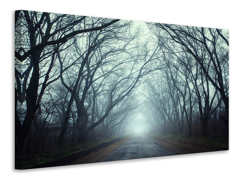 4-piece-canvas-print-cloud-forest