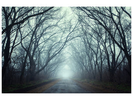 modern-4-piece-canvas-print-cloud-forest
