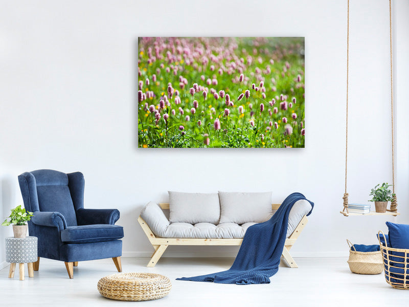 panoramic-3-piece-canvas-print-clover