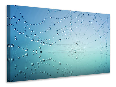 3-piece-canvas-print-cobweb-in-morning-dew