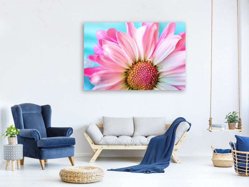 modern-3-piece-canvas-print-colored-flower