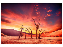 5-piece-canvas-print-colorful-desert