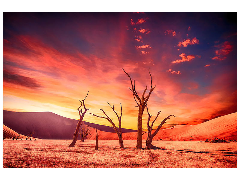 5-piece-canvas-print-colorful-desert