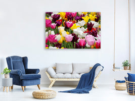 5-piece-canvas-print-colorful-tulip-field