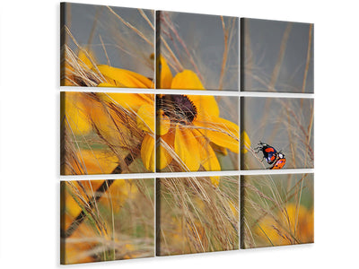canvas-print-colors-of-summer-ii