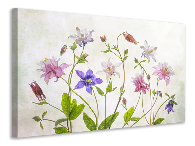 modern-4-piece-canvas-print-columbine