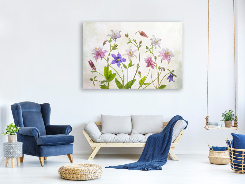 4-piece-canvas-print-columbine