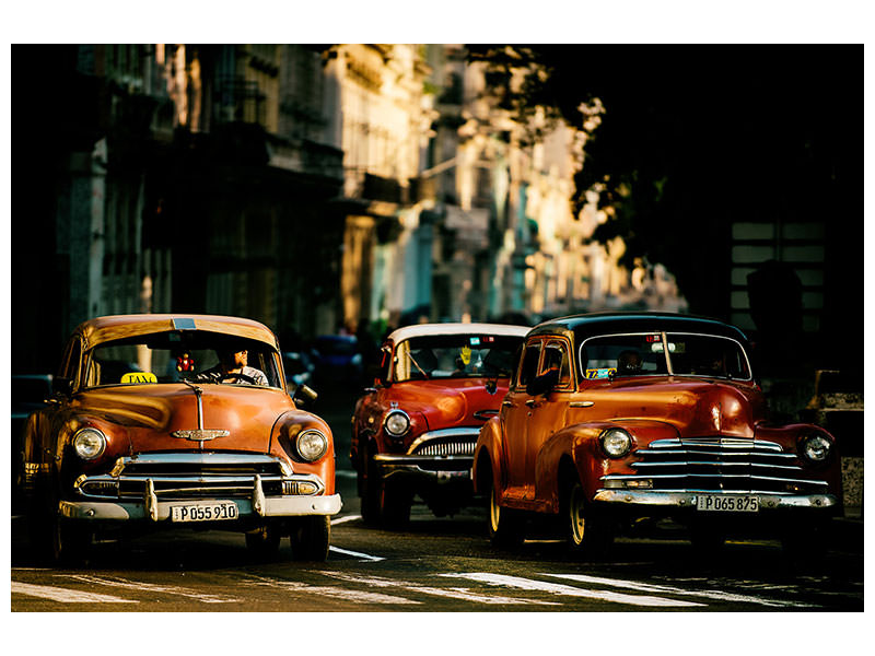 3-piece-canvas-print-come-with-me-in-the-morning-light