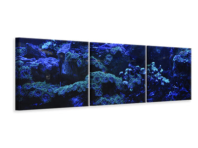3-piece-canvas-print-coral-reef-in-blue