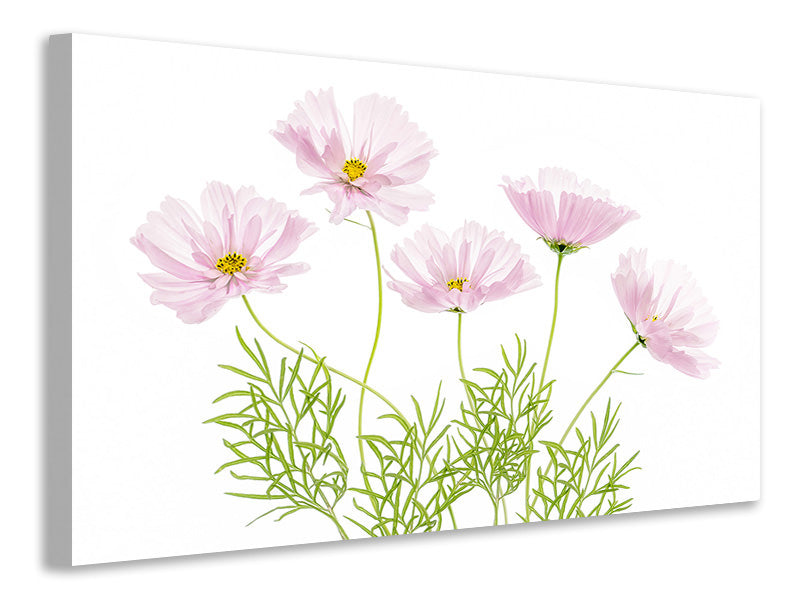 4-piece-canvas-print-cosmos-cupcake