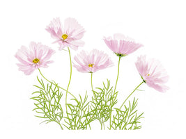 modern-4-piece-canvas-print-cosmos-cupcake