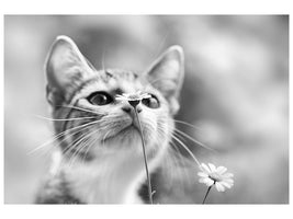 panoramic-3-piece-canvas-print-curious