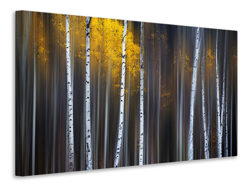 panoramic-3-piece-canvas-print-curtain-of-fall