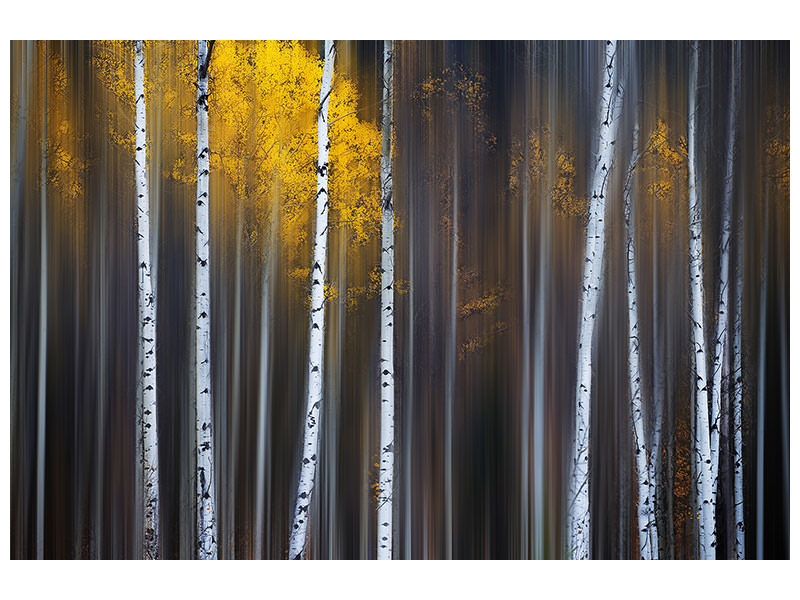 modern-4-piece-canvas-print-curtain-of-fall