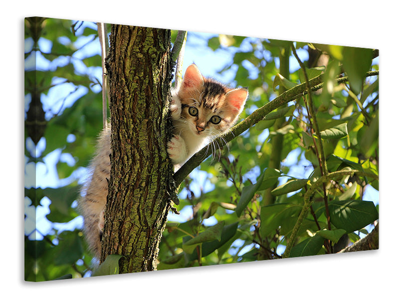 3-piece-canvas-print-cute-cat-child