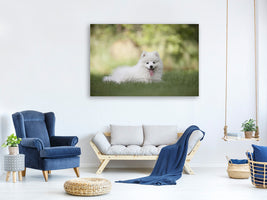 3-piece-canvas-print-cute-spitz-puppy