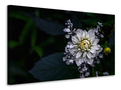 panoramic-3-piece-canvas-print-dahlia-flower