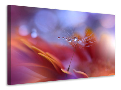 4-piece-canvas-print-dance-in-the-light