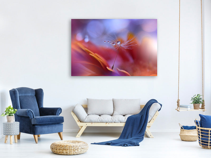 panoramic-canvas-print-dance-in-the-light