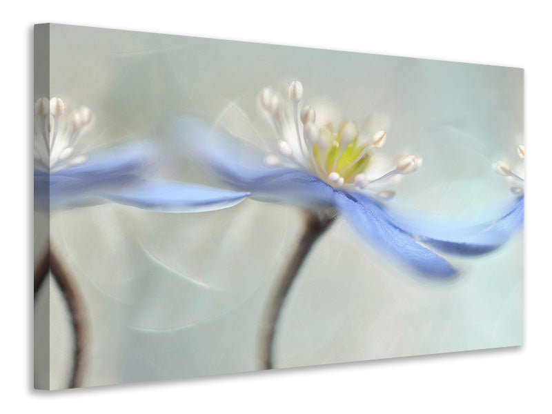 4-piece-canvas-print-dancing-anemones