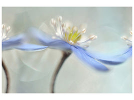 modern-4-piece-canvas-print-dancing-anemones