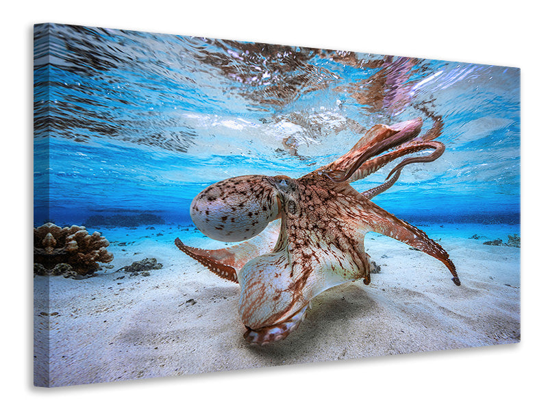 3-piece-canvas-print-dancing-octopus