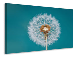 4-piece-canvas-print-dandelion-a