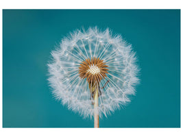5-piece-canvas-print-dandelion-a