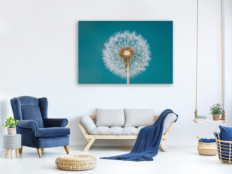 3-piece-canvas-print-dandelion-a