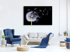 modern-4-piece-canvas-print-dandelion-blowing