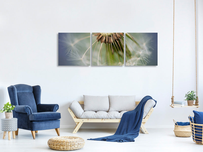 3-piece-canvas-print-dandelion-close-up
