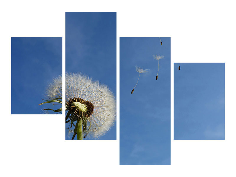 canvas-print-dandelion-i-wish-for-something