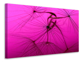 modern-3-piece-canvas-print-dandelion-in-pink