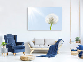 panoramic-canvas-print-dandelion-in-sunbeam