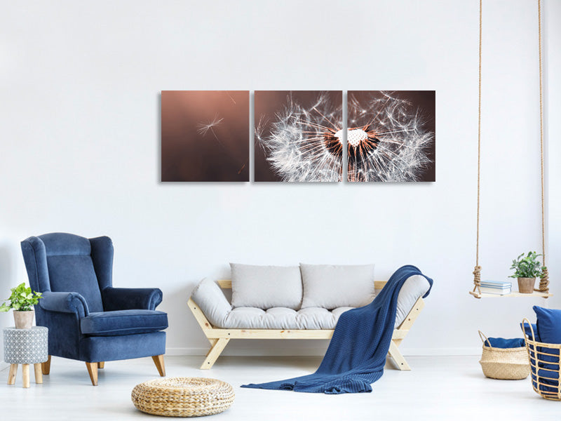 4-piece-canvas-print-dandelion-in-the-evening-light