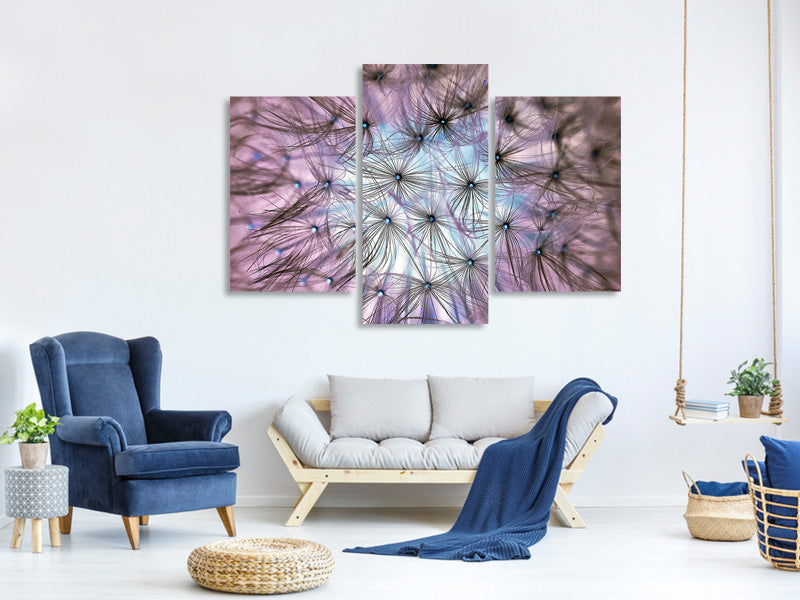 4-piece-canvas-print-dandelion-in-the-light-play