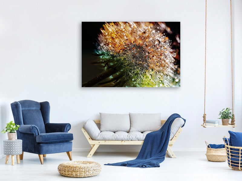 modern-4-piece-canvas-print-dandelion-in-the-morning-dew