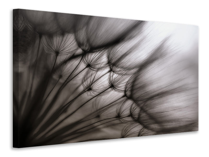 panoramic-3-piece-canvas-print-dandelion-p