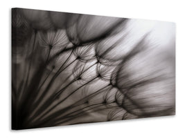 modern-3-piece-canvas-print-dandelion-p