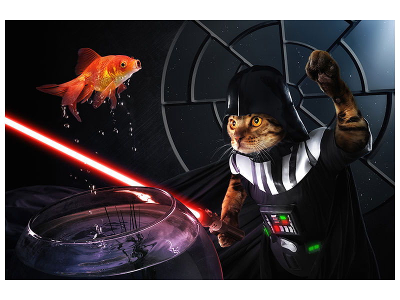 panoramic-3-piece-canvas-print-darth-sushi