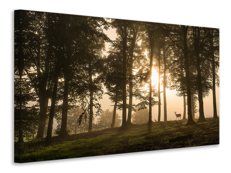 modern-4-piece-canvas-print-deer-in-the-morning-mist