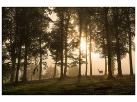 modern-4-piece-canvas-print-deer-in-the-morning-mist