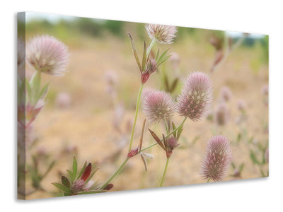 5-piece-canvas-print-delicate-flowers