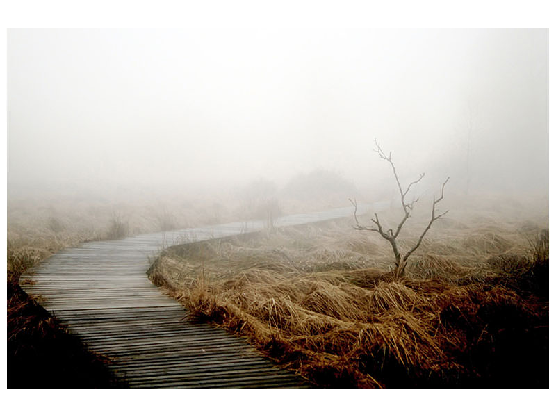 panoramic-3-piece-canvas-print-dense-fog