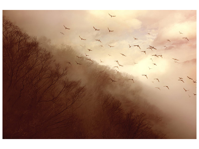 5-piece-canvas-print-departure