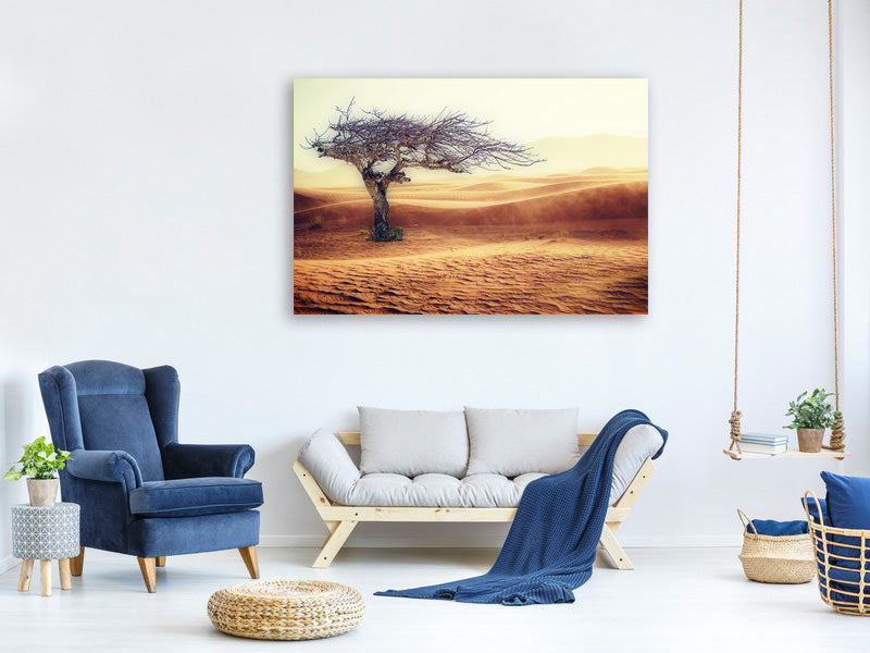 3-piece-canvas-print-desert-storm