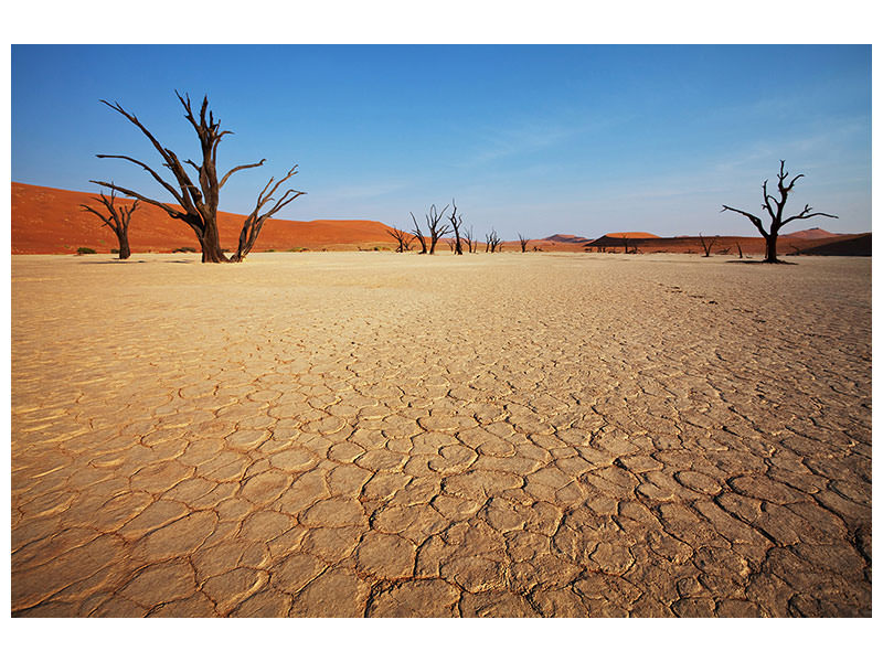 modern-4-piece-canvas-print-desert