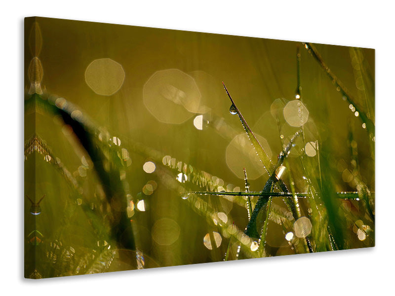 modern-4-piece-canvas-print-dew-in-the-morning