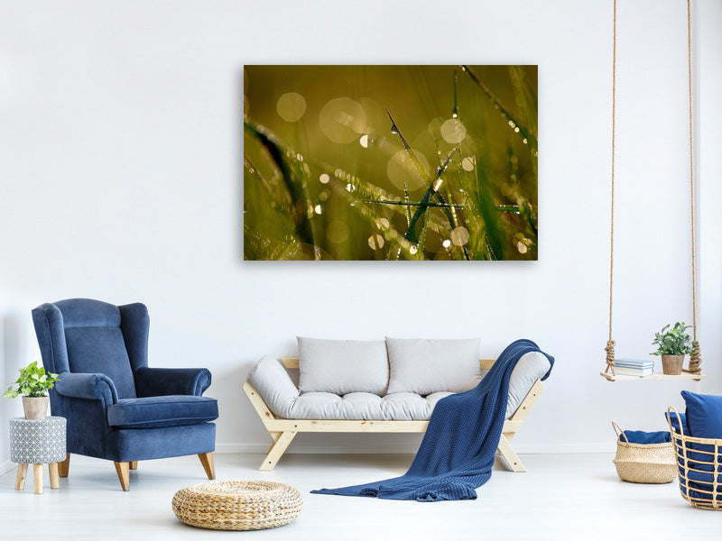5-piece-canvas-print-dew-in-the-morning