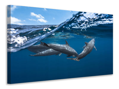 4-piece-canvas-print-dolphins